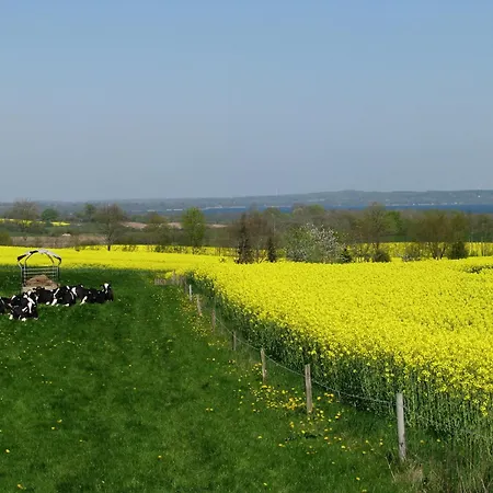 Frietied Am Wittensee *